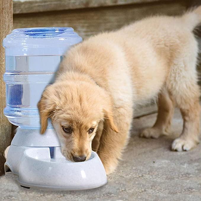 Pet Automatic Water Dispenser - Kaufivo