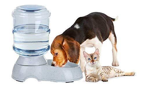 Pet Automatic Water Dispenser - Kaufivo